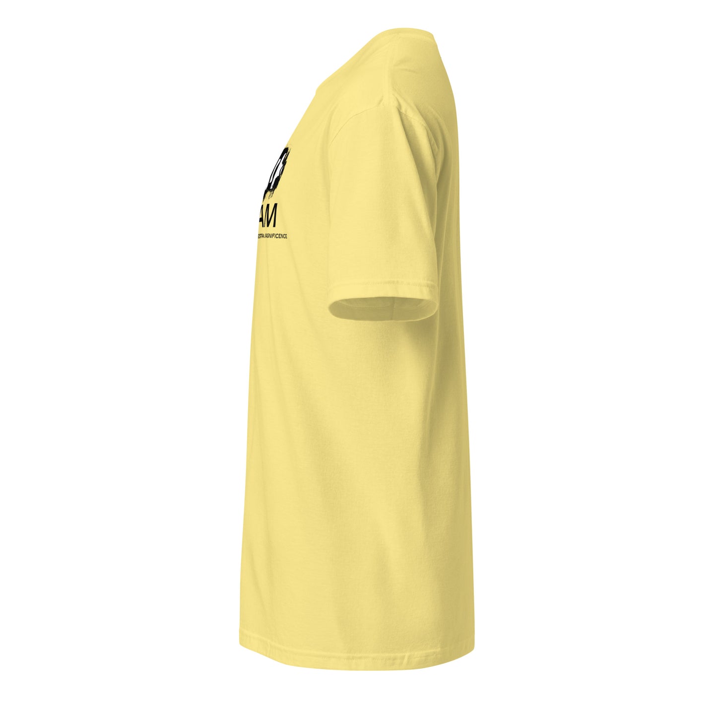 Women’s Midweight Cotton Tee
