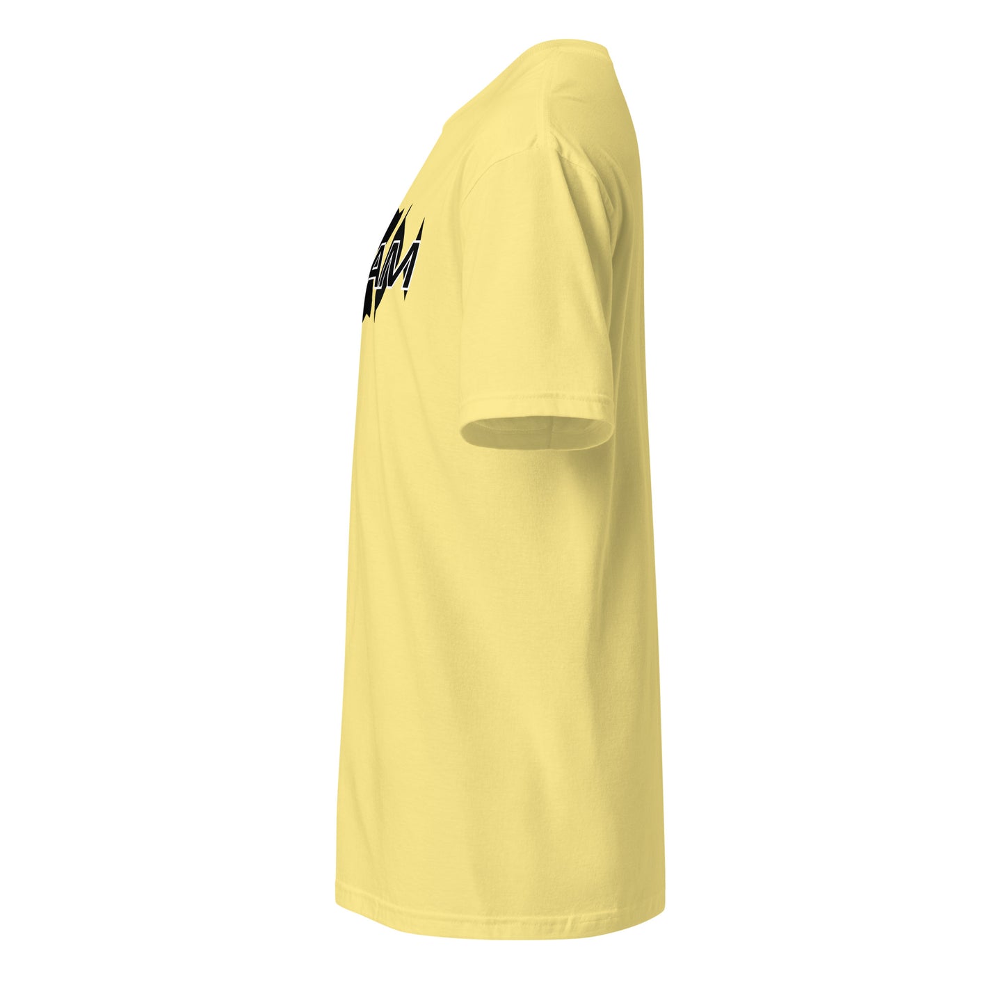 Unisex Jersey Short Sleeve V-Neck Tee