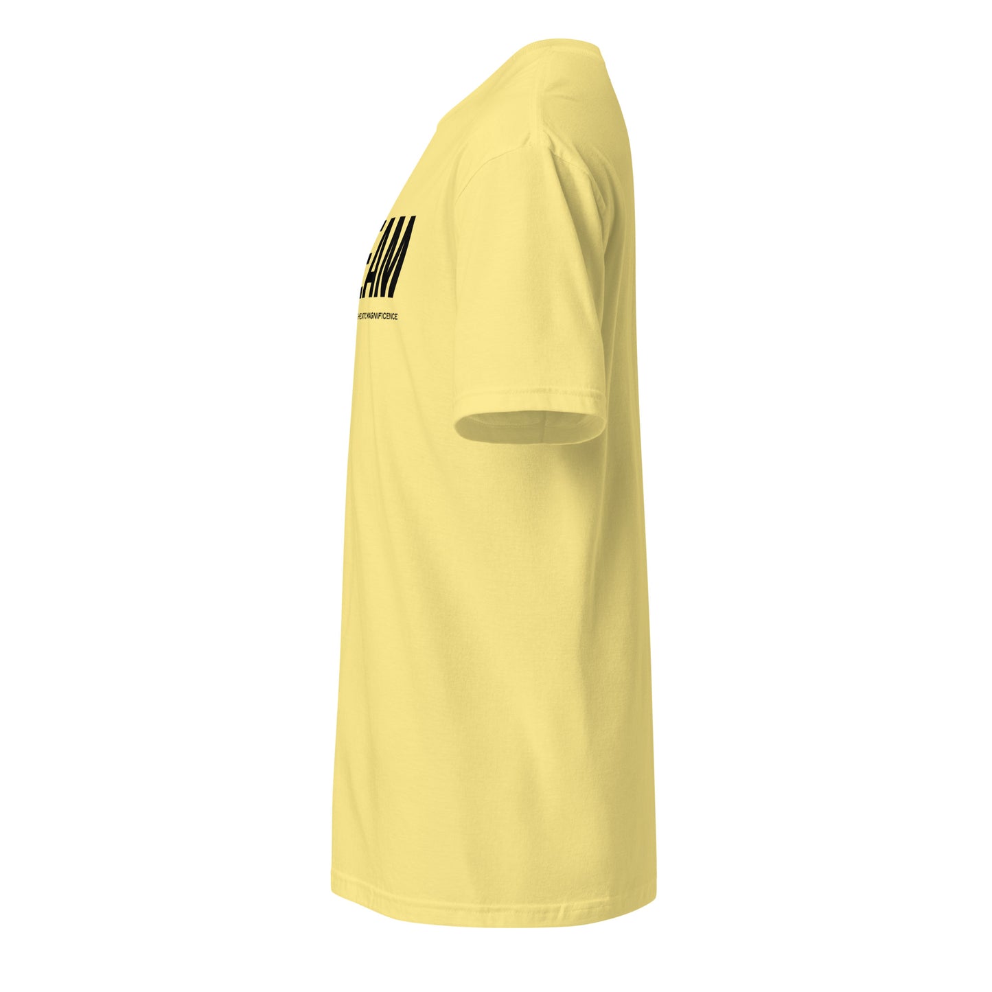 Unisex CVC Jersey T-shirt