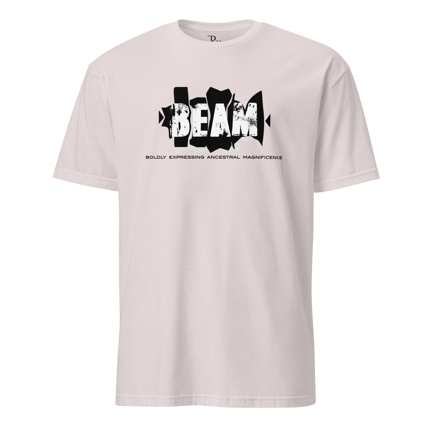 Unisex Ultra Cotton Tee