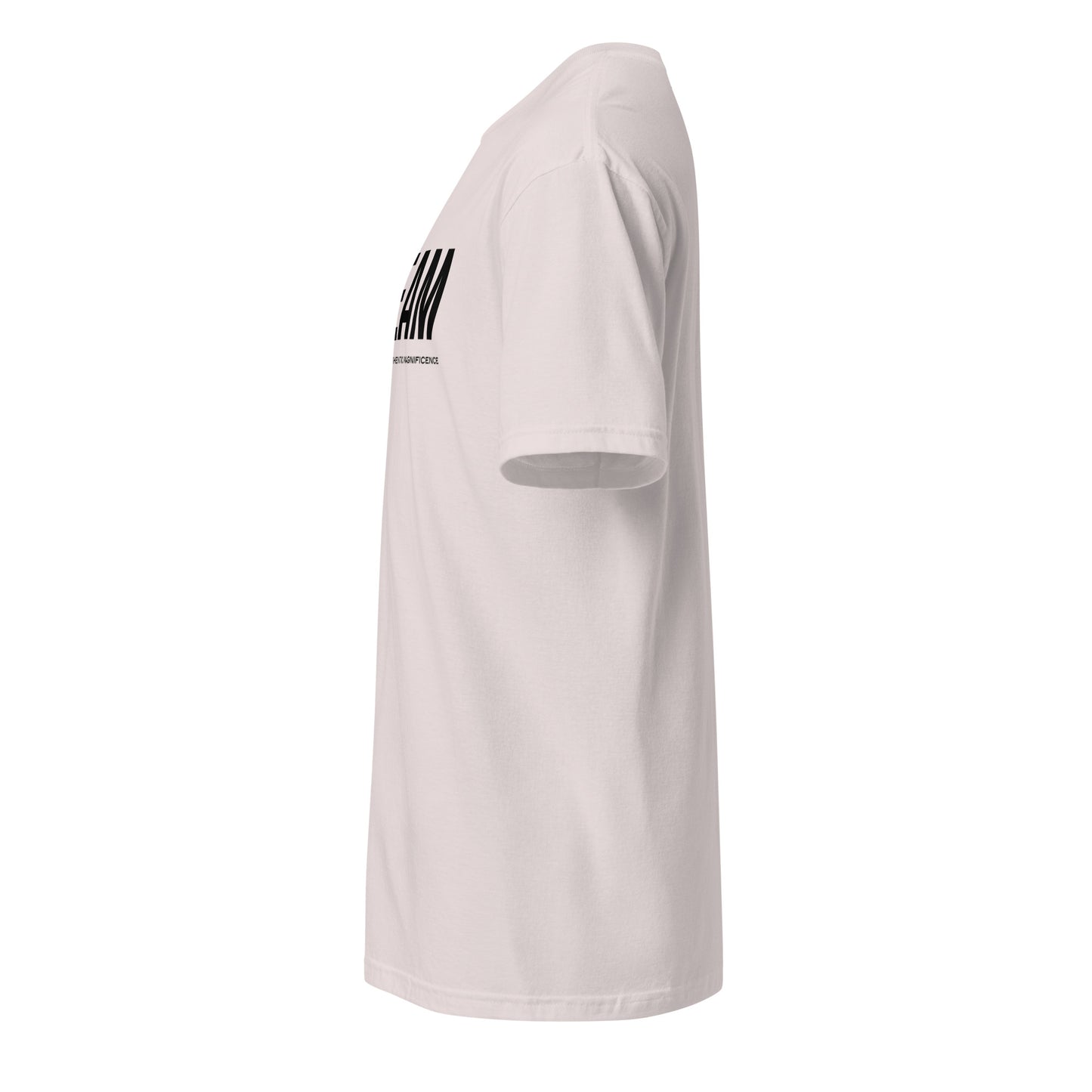 Unisex Jersey T-Shirt