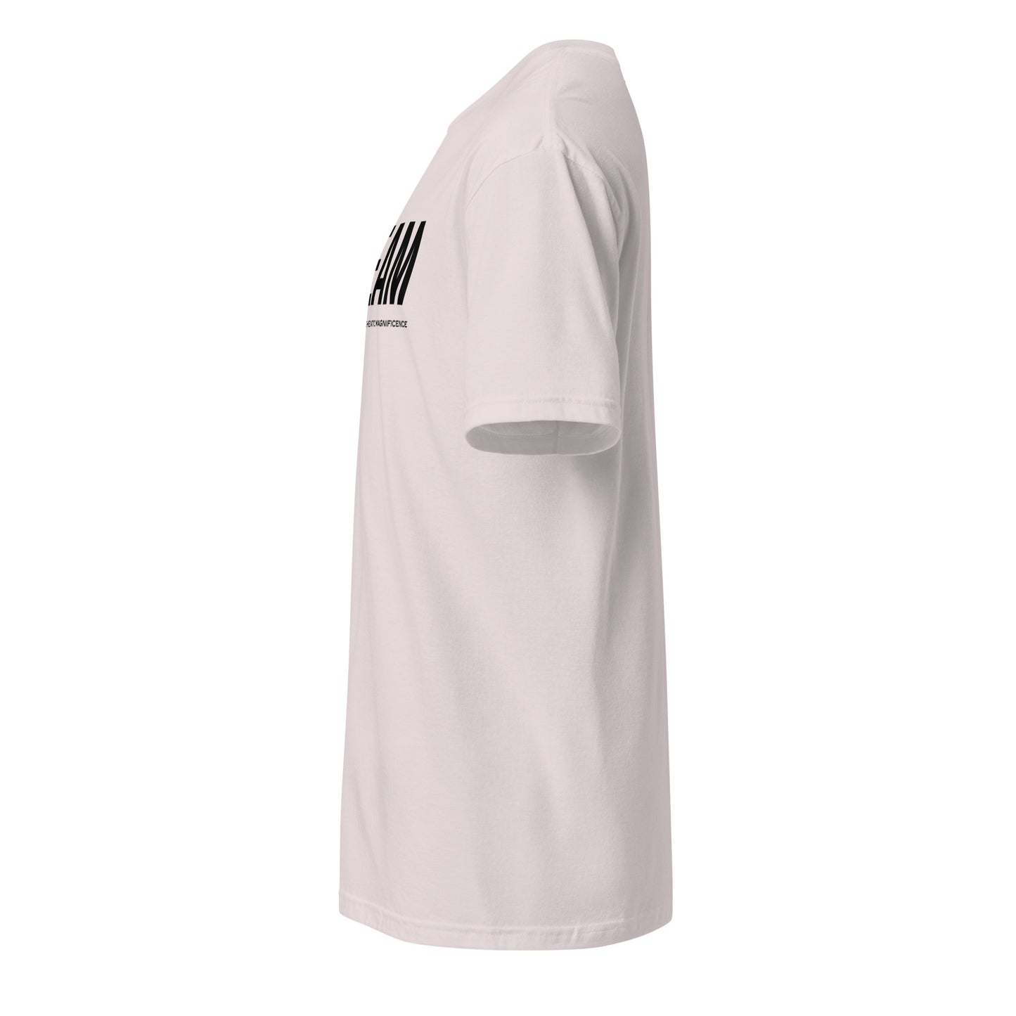 Unisex CVC Jersey T-shirt