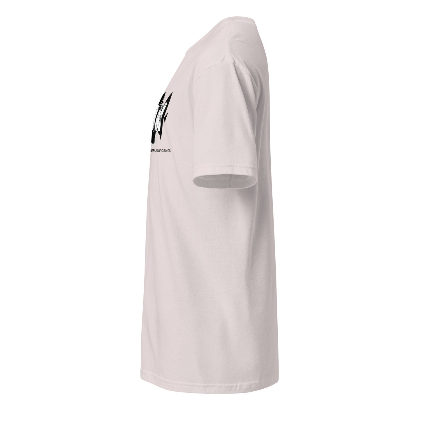 Unisex Ultra Cotton Tee