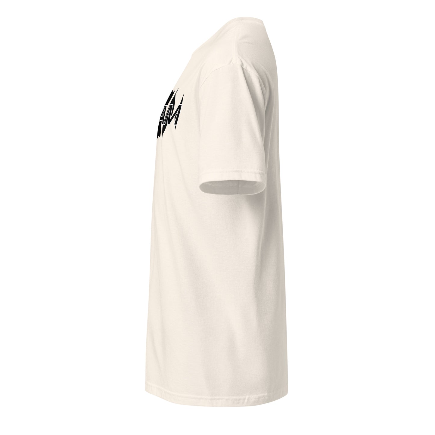 Unisex Jersey Short Sleeve V-Neck Tee