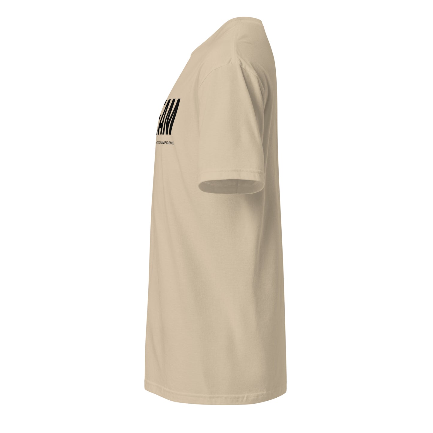 Unisex Jersey T-Shirt