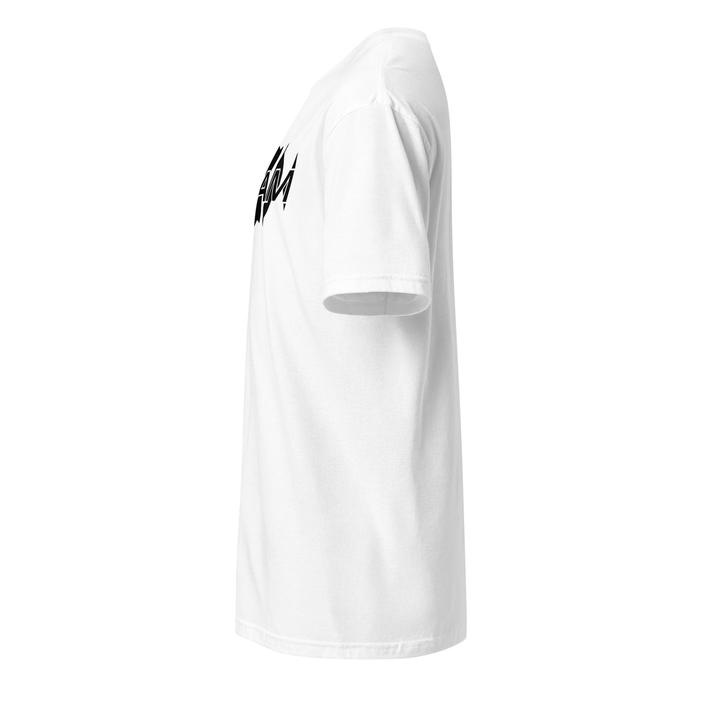Unisex Jersey Short Sleeve V-Neck Tee