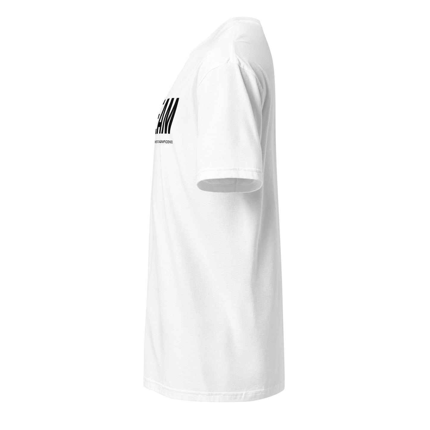 Unisex Jersey T-Shirt
