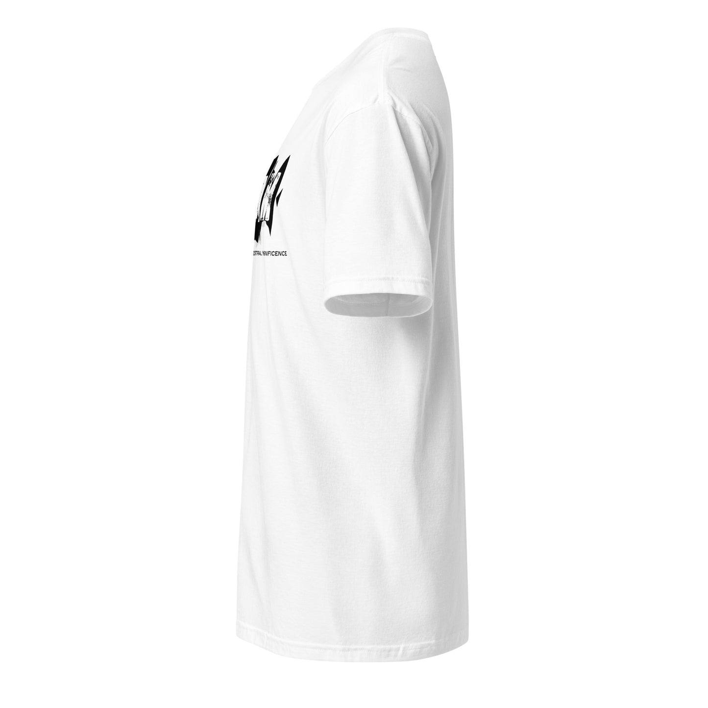 Unisex Ultra Cotton Tee
