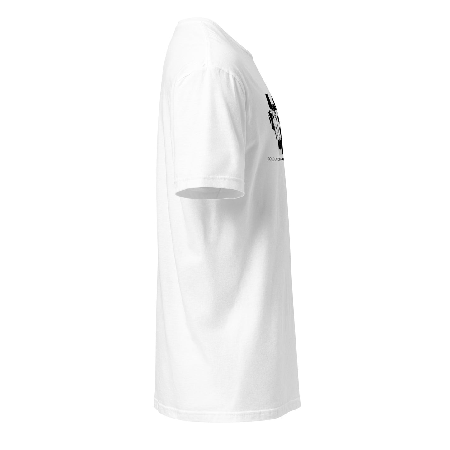 Unisex Ultra Cotton Tee