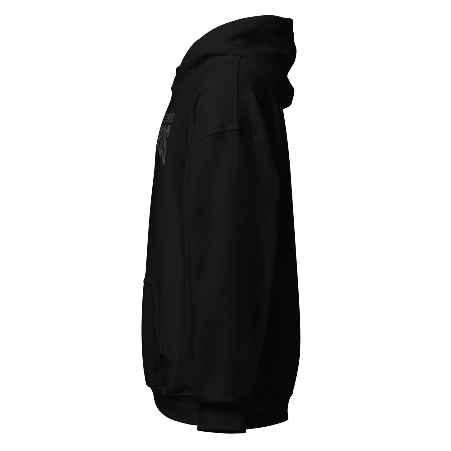 Non Son Como Nosotros Hoodie