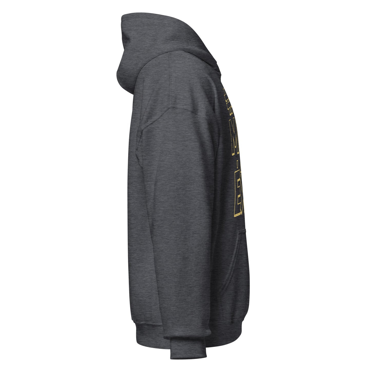 Sin Miedo Al Exito Hoodie