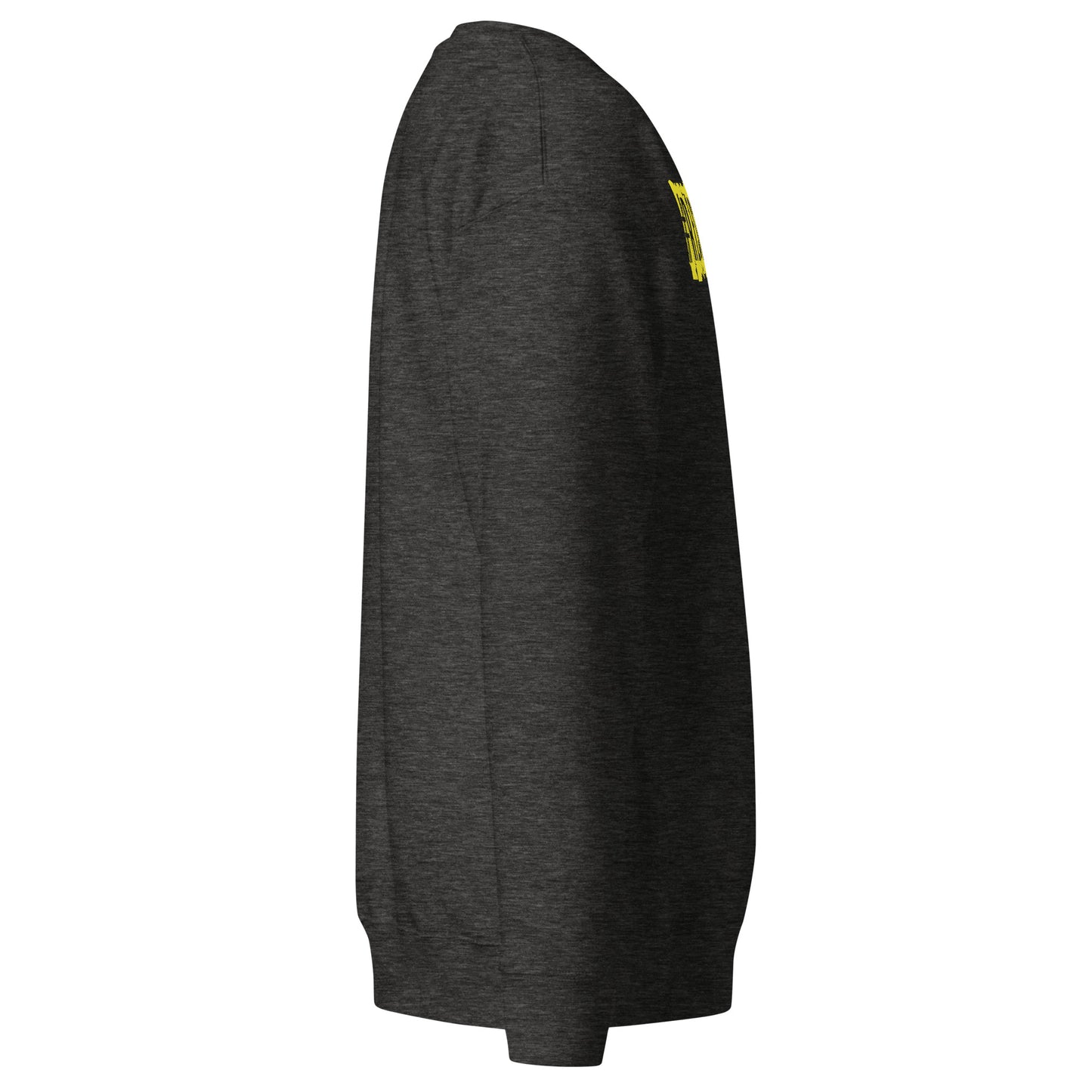 Resilience Sweatshirt