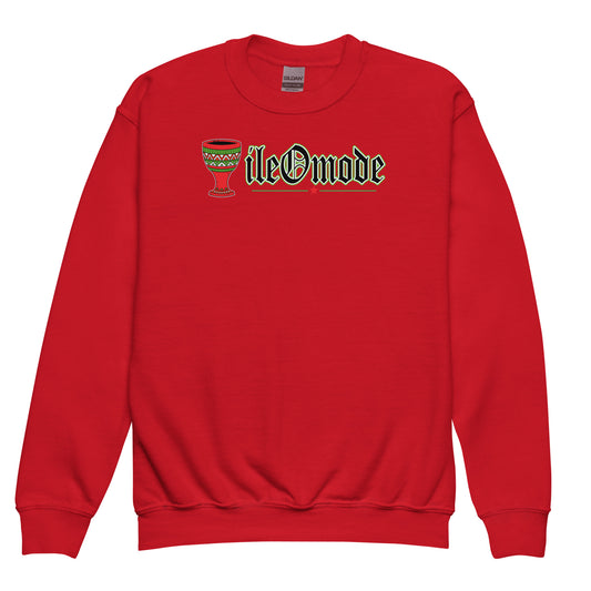 ile0 Mode Kids Youth crewneck sweatshirt