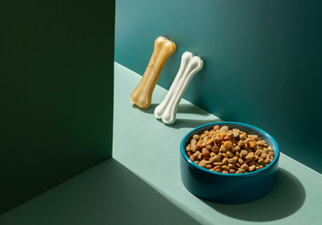 Pet Bowls