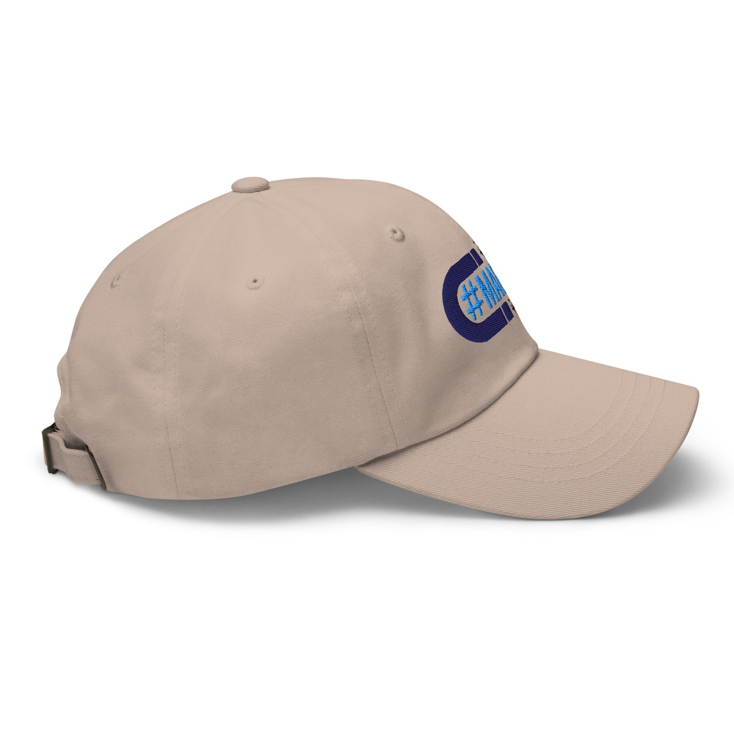 Magnetic Signature hat