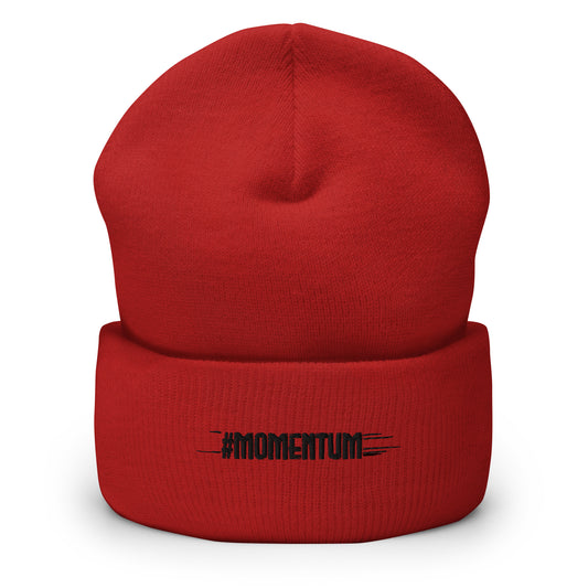 Momentum Signature Beanie