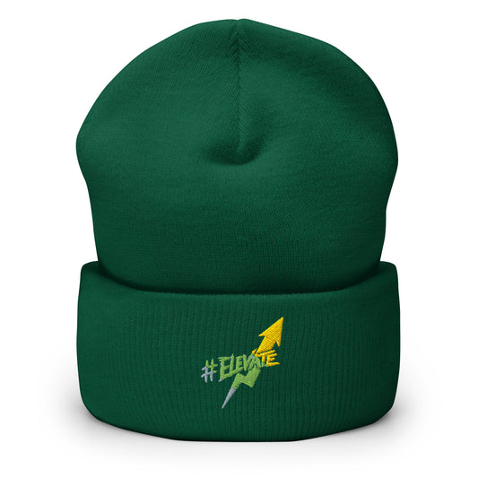 Elevate Beanie