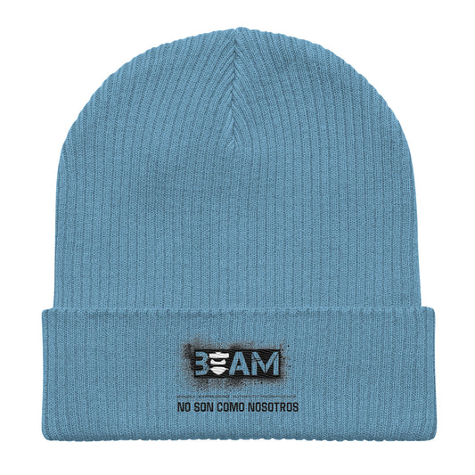 No Son Como Organic ribbed beanie