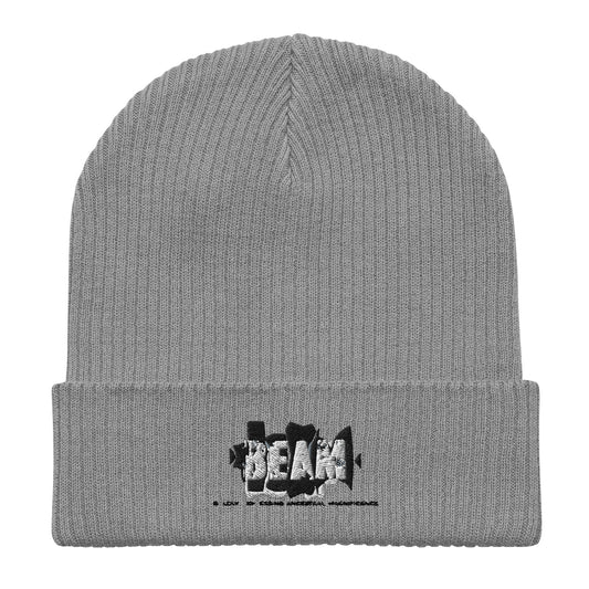 Unisex Heavy Cotton Tee Organic ribbed beanie