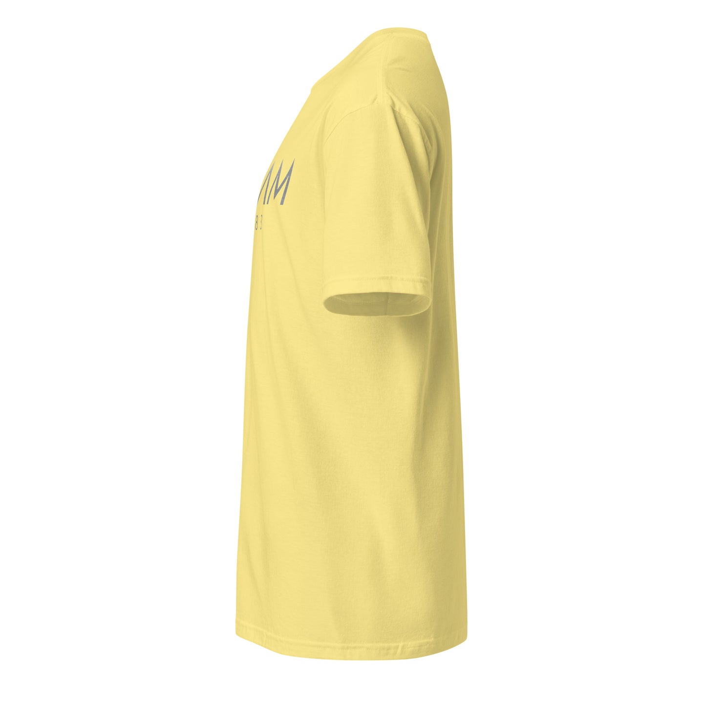 Beam 1983 T-Shirt