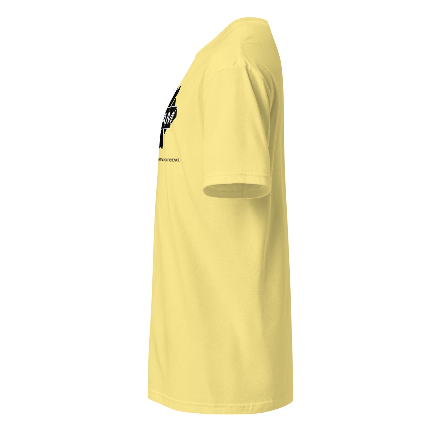 Unisex Jersey Short SleeveTee