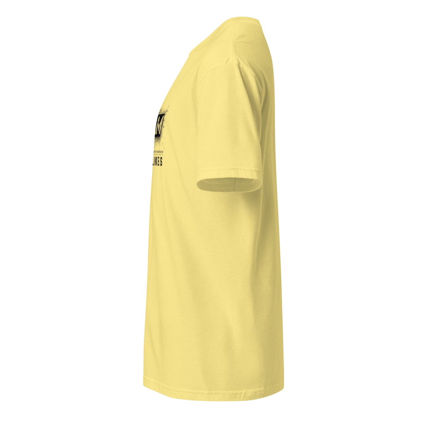 Beam They Not Like Us Tshirt