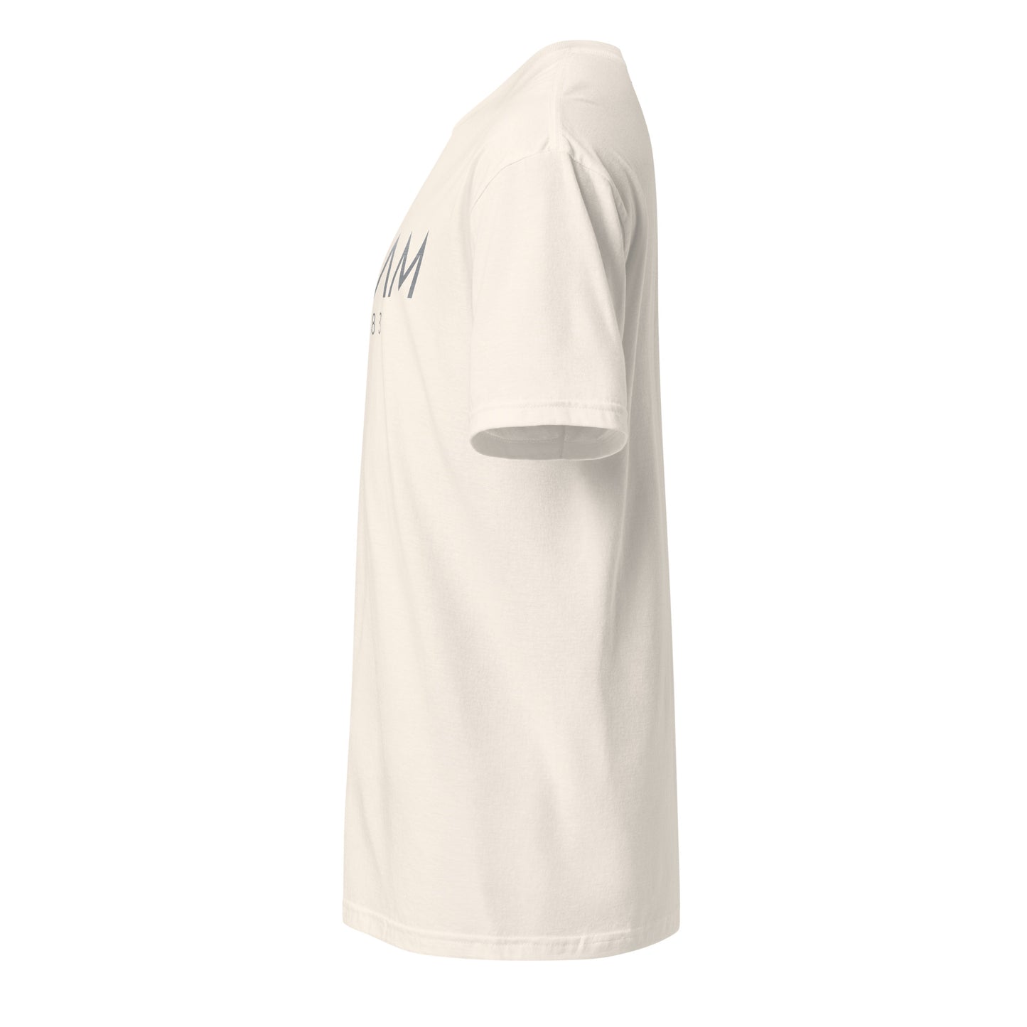 Beam 1983 T-Shirt