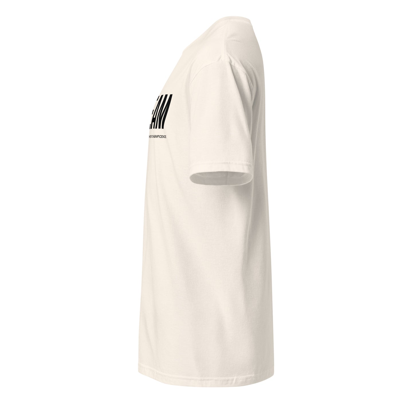 Unisex Jersey T-Shirt