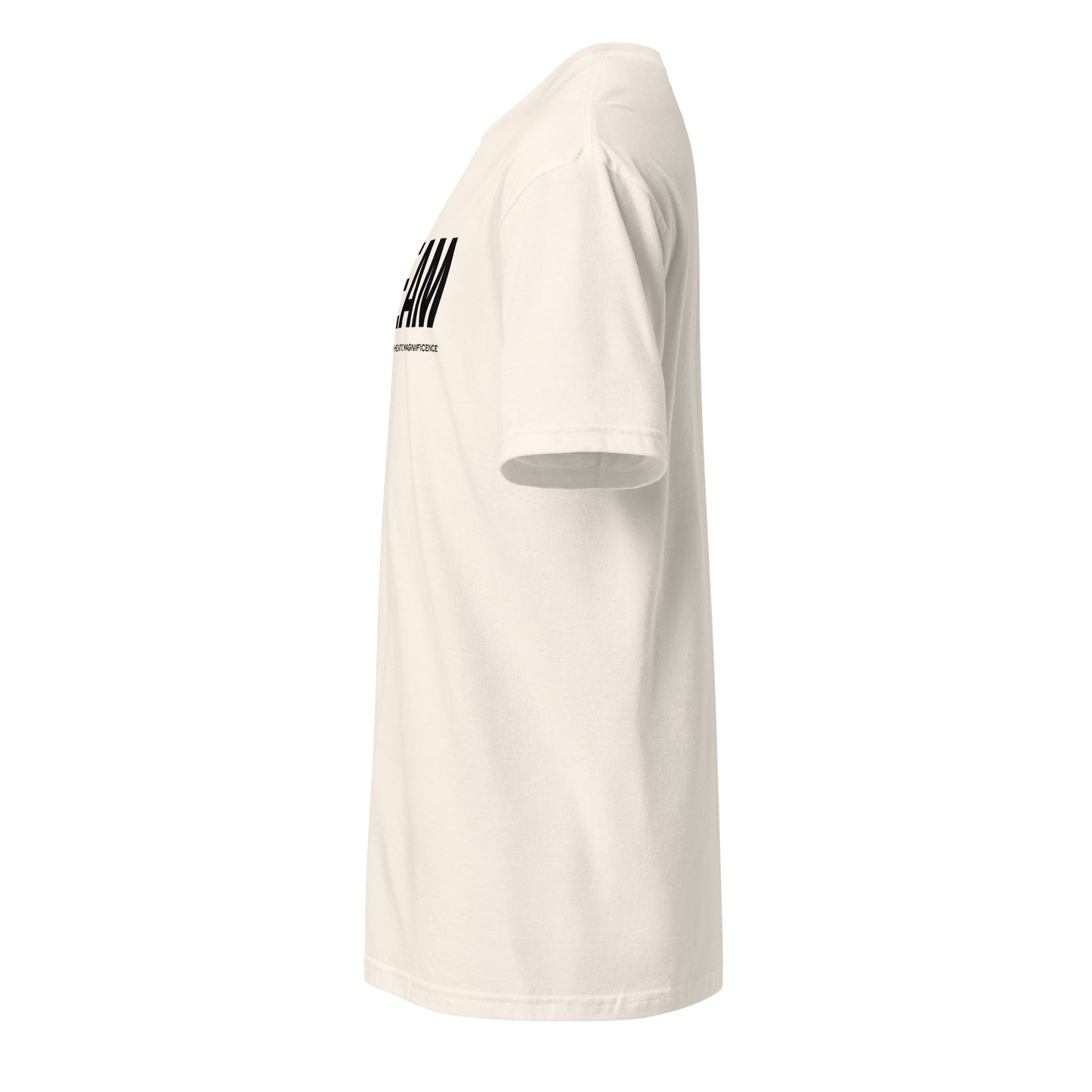 Unisex CVC Jersey T-shirt