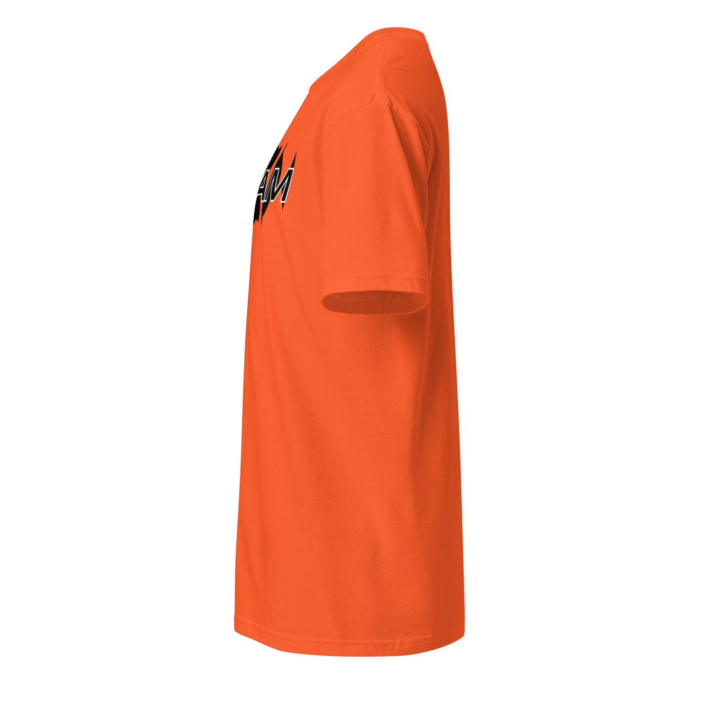 Unisex Jersey Short Sleeve V-Neck Tee