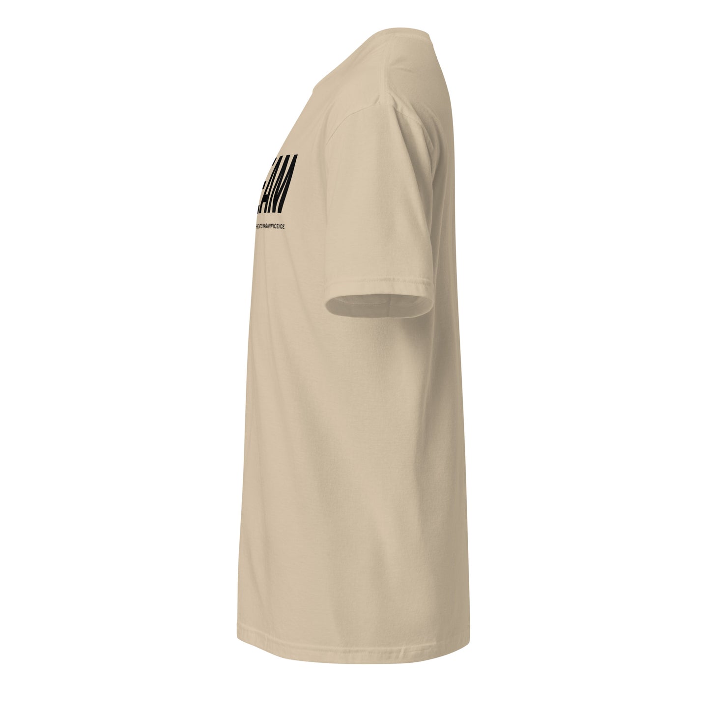 Unisex CVC Jersey T-shirt