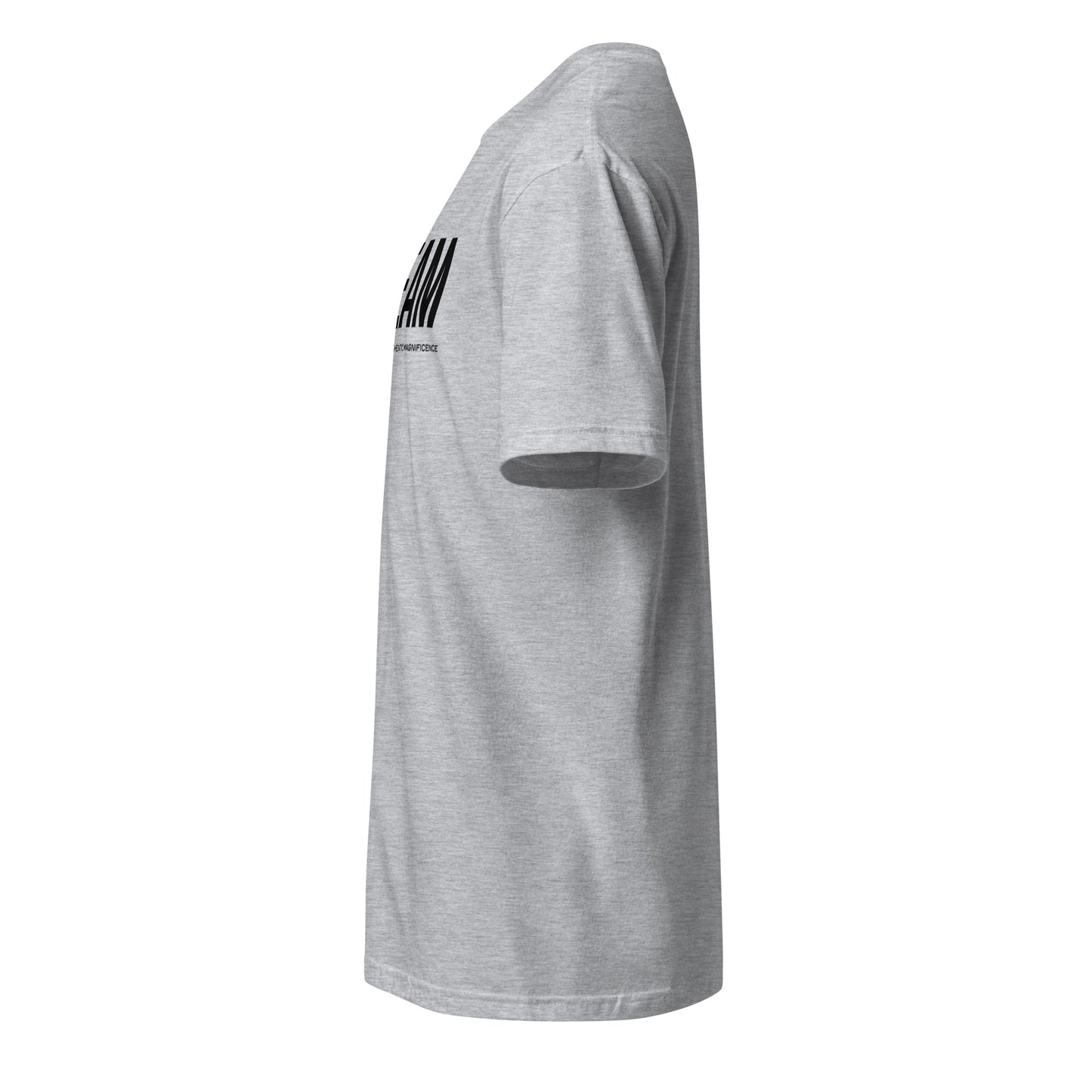 Unisex CVC Jersey T-shirt
