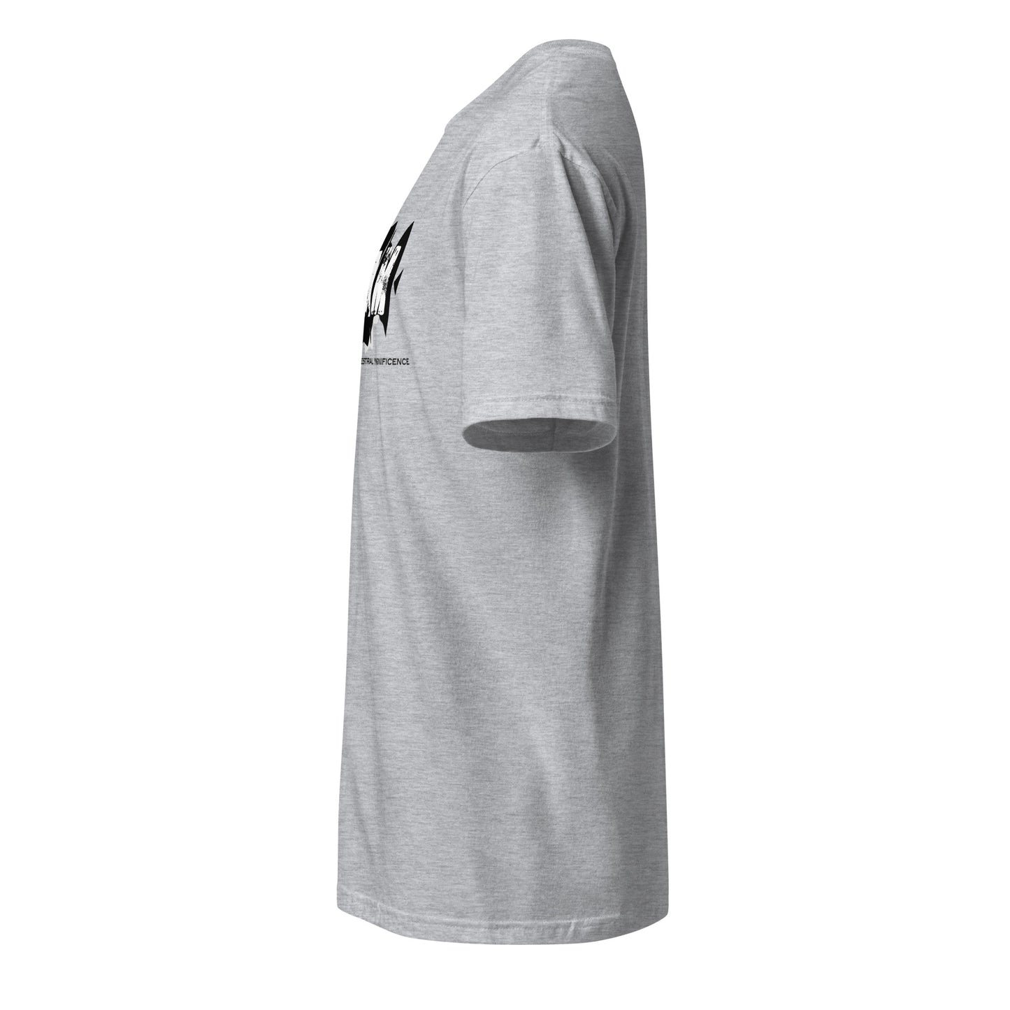 Unisex Ultra Cotton Tee