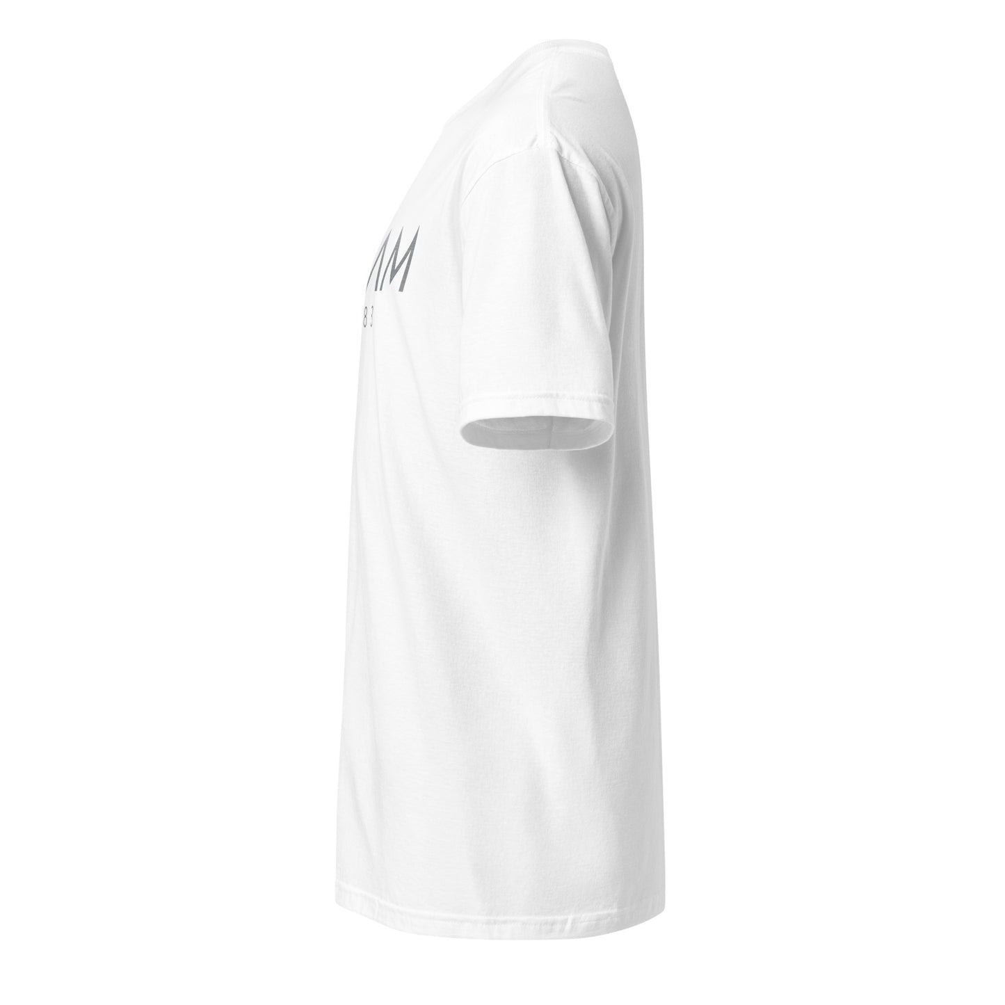 Beam 1983 T-Shirt