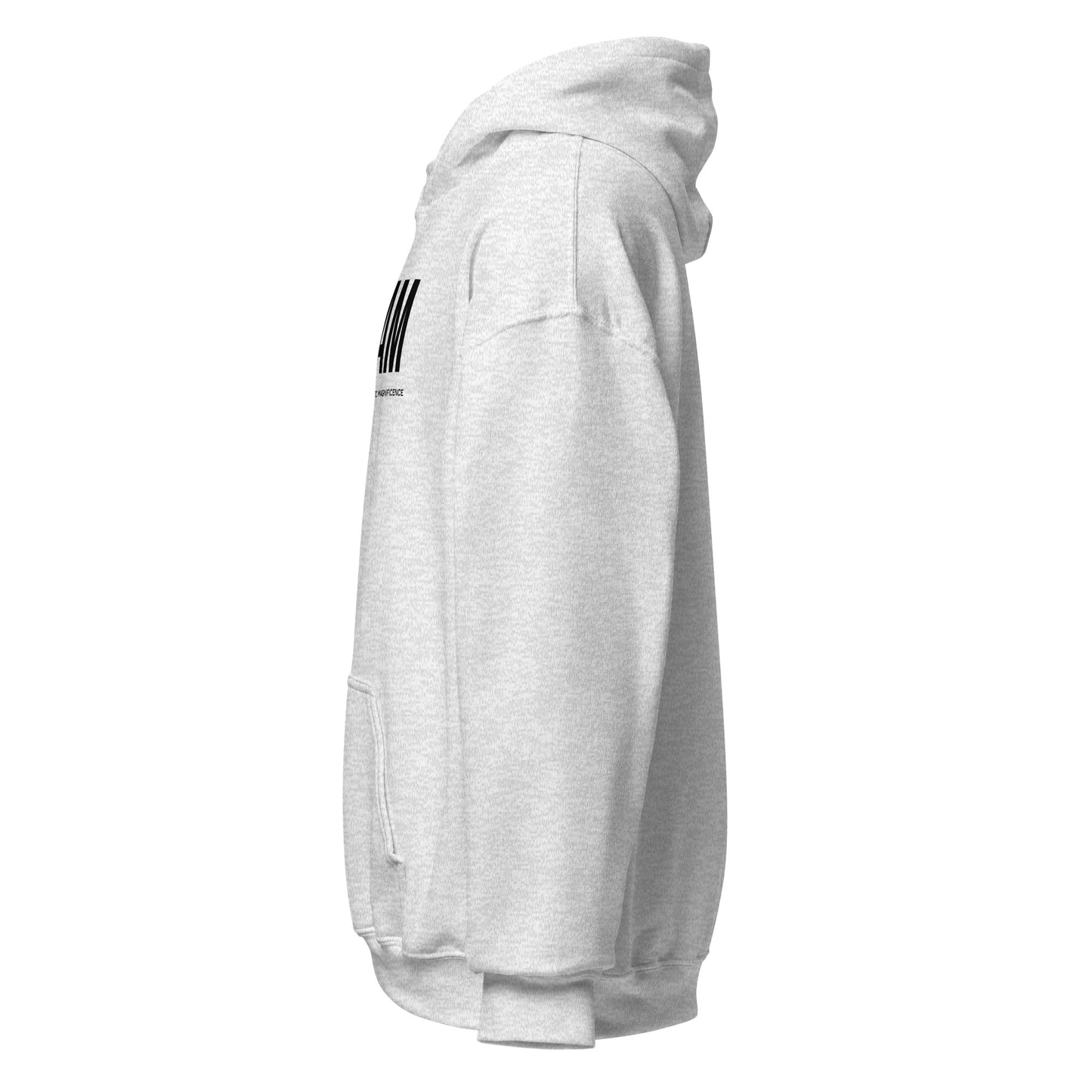 Unisex Jersey Hoodie