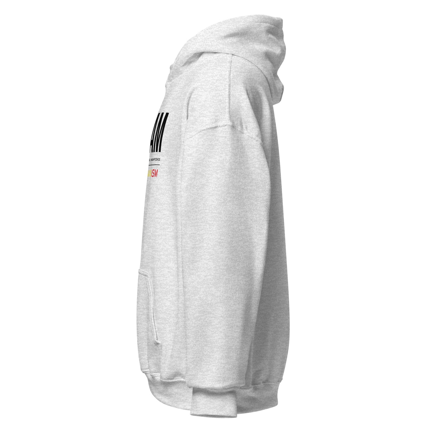 Beam Pan Africanism Hoodie