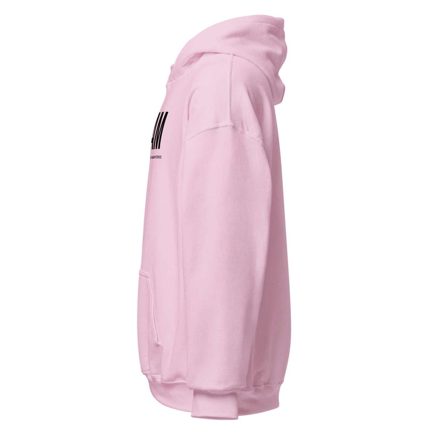 Unisex Jersey Hoodie