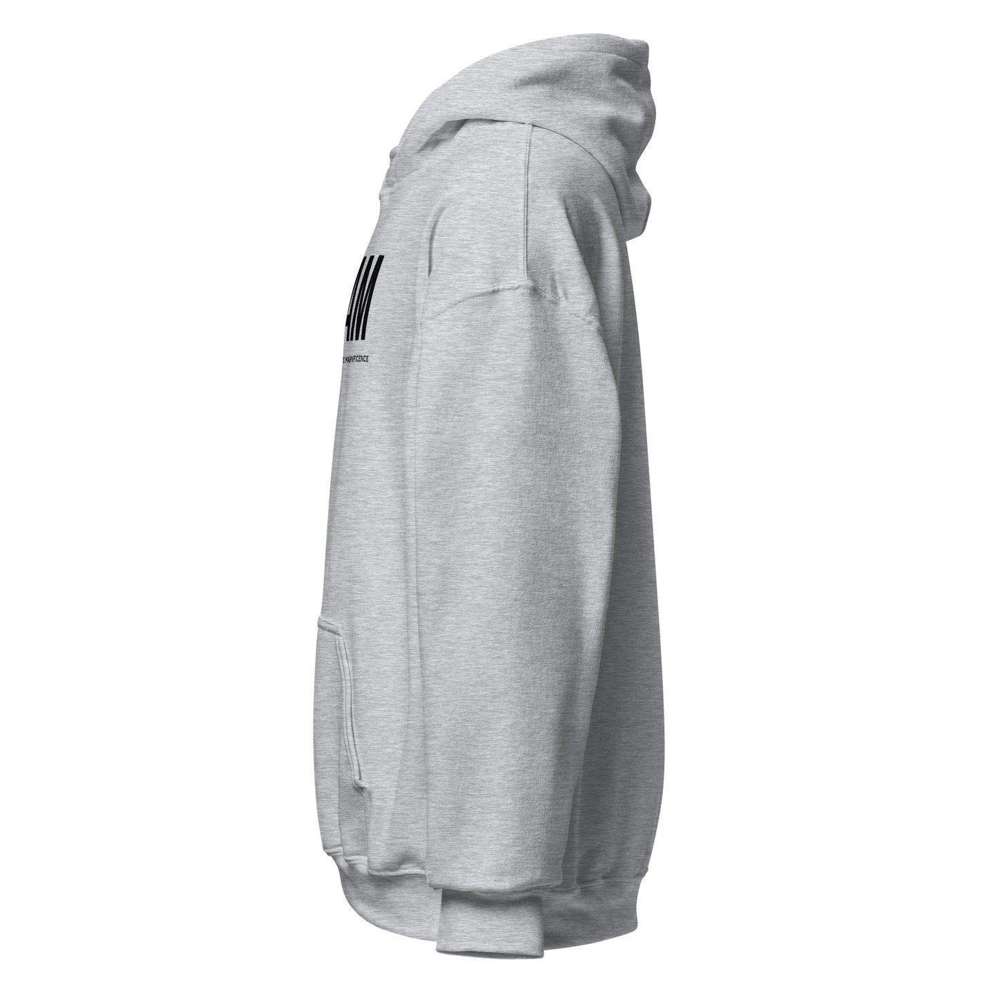 Unisex Jersey Hoodie