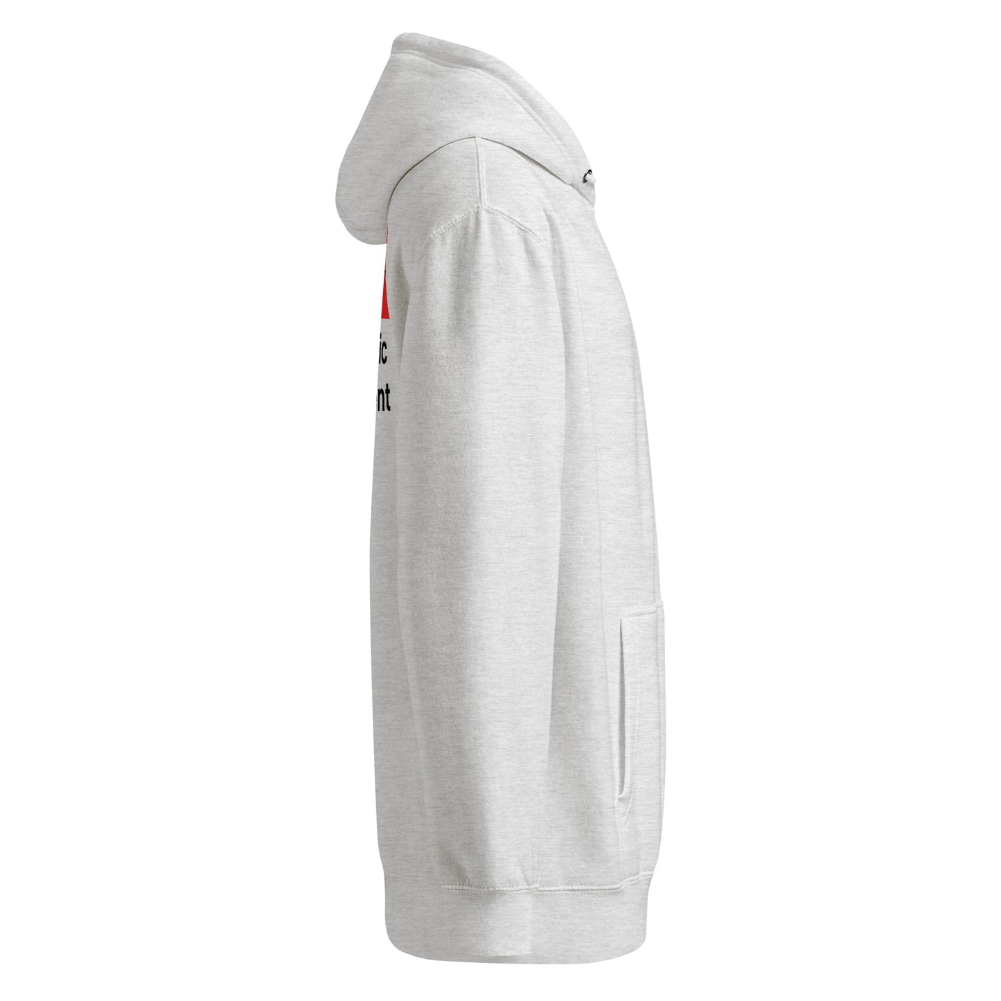 Bay Linguistic Hoodie – Unisex Midweight Pullover