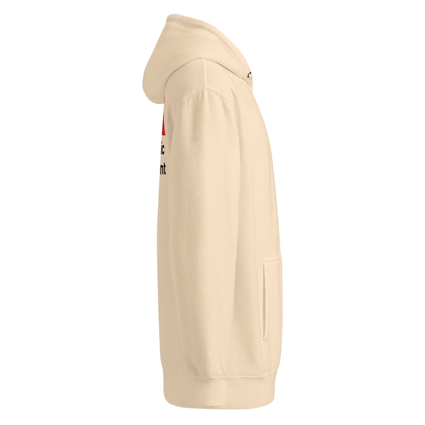 Bay Linguistic Hoodie – Unisex Midweight Pullover