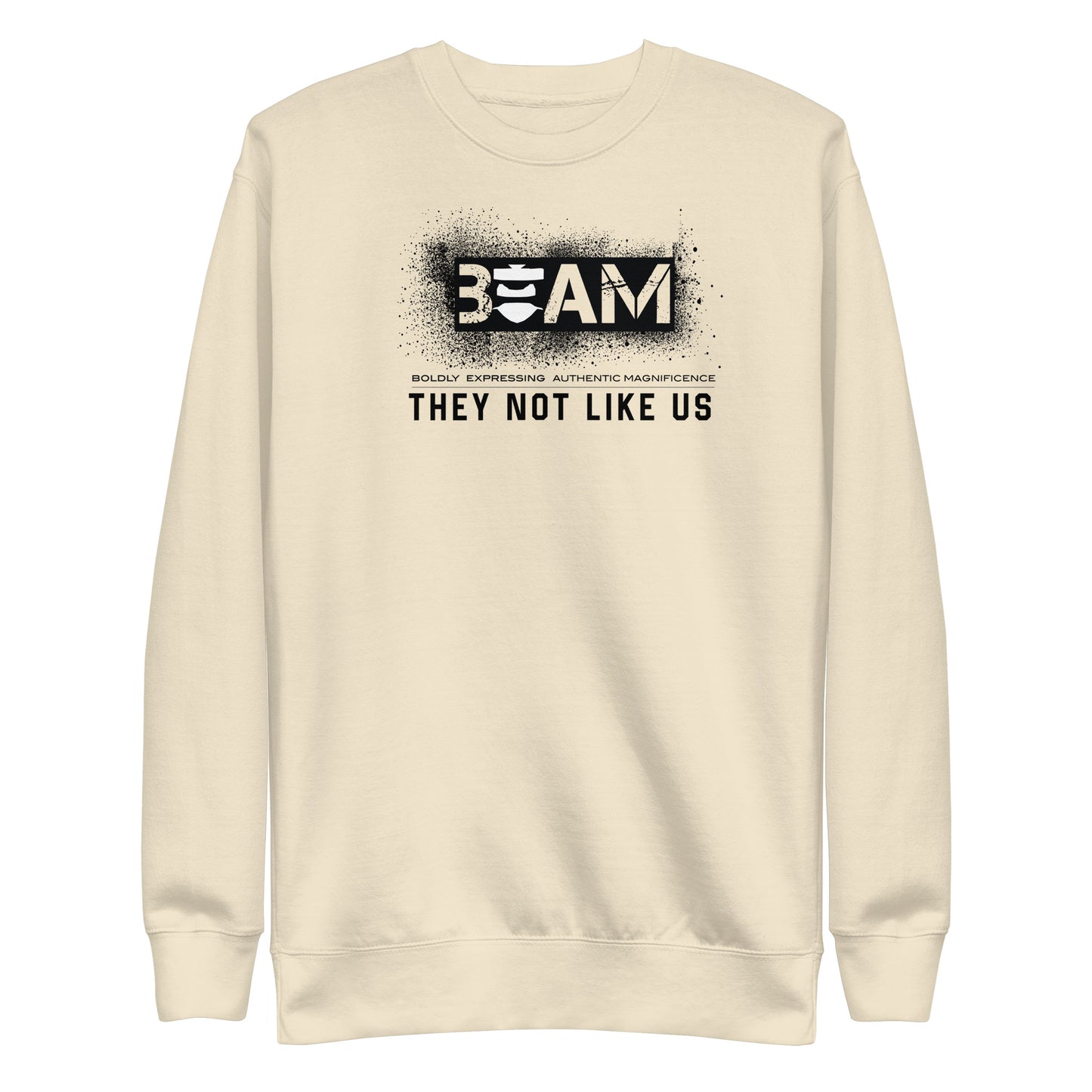 Beam They Not Like Us Sweatshirt