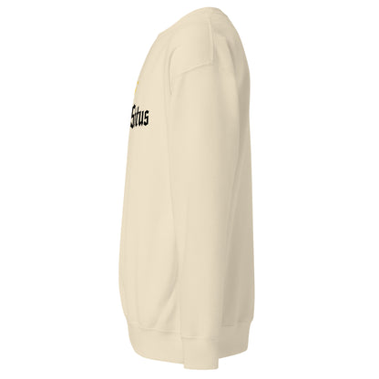 Boss Status Signature Sweatshirt