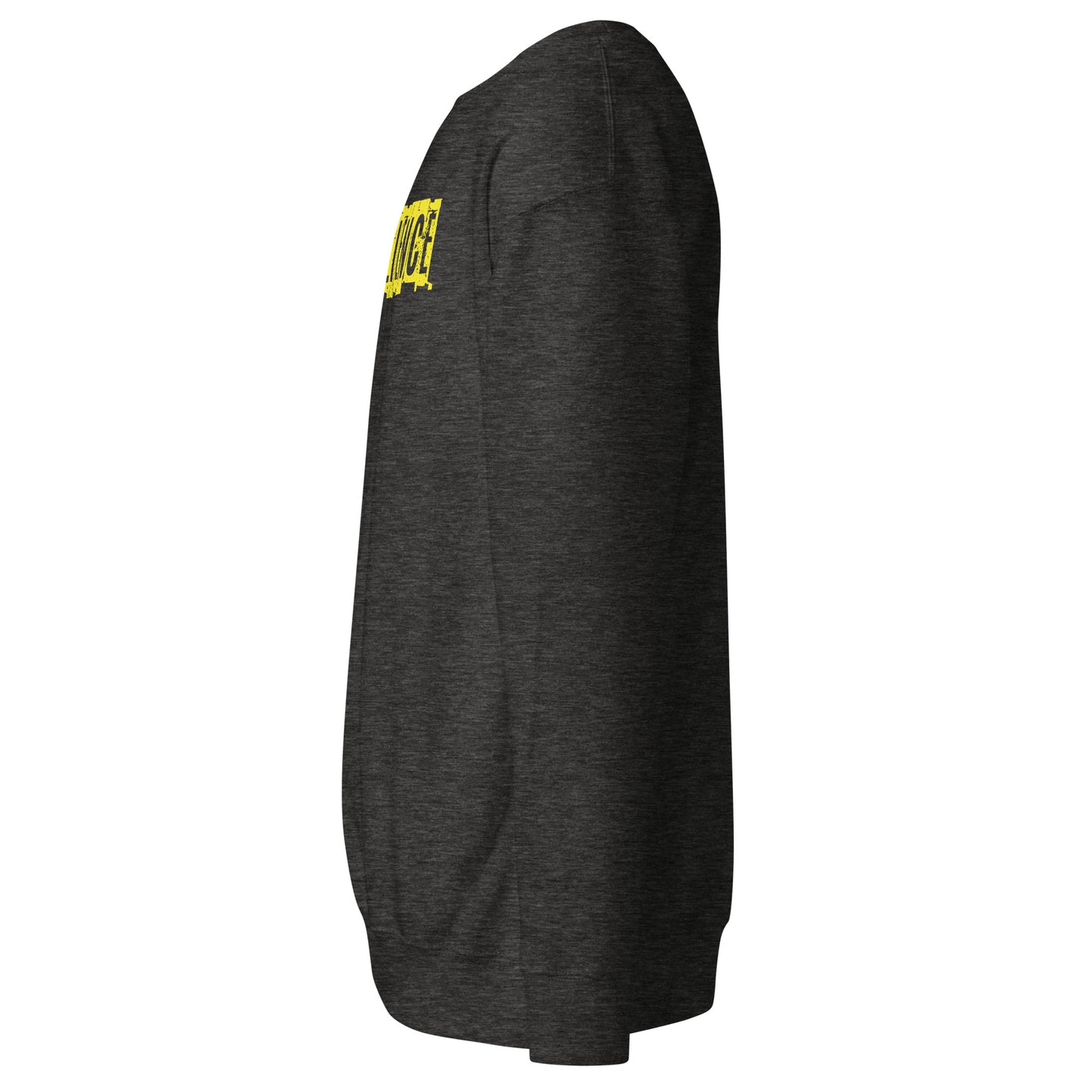 Resilience Sweatshirt