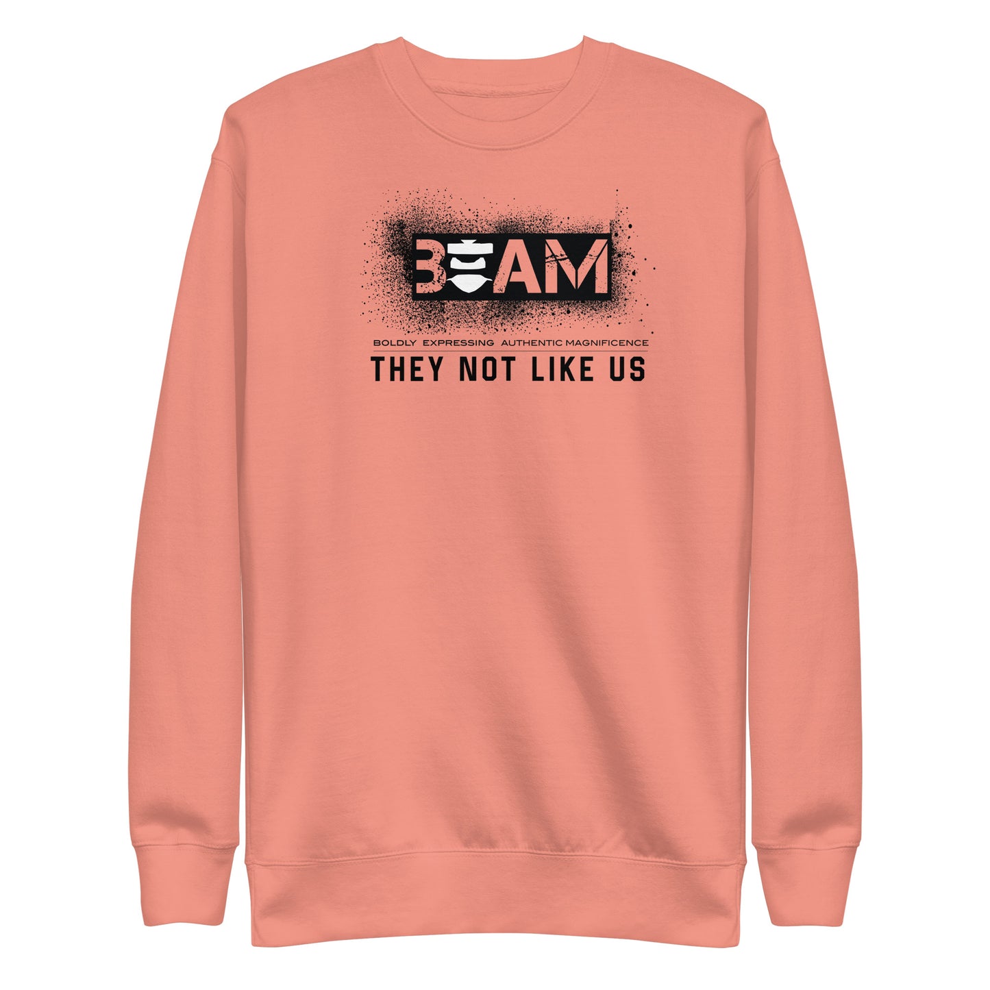 Beam They Not Like Us Sweatshirt