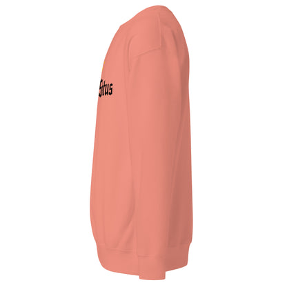 Boss Status Signature Sweatshirt
