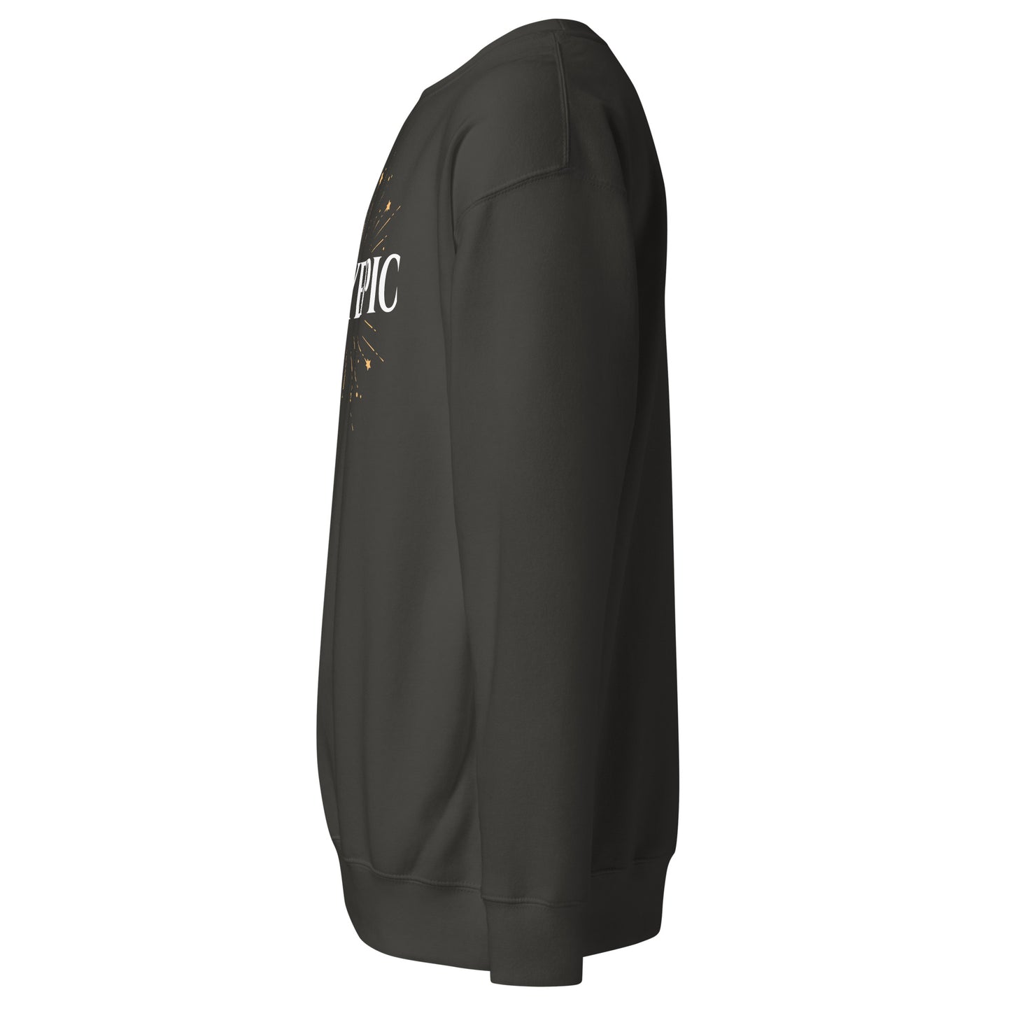 Stayepic Sweatshirt