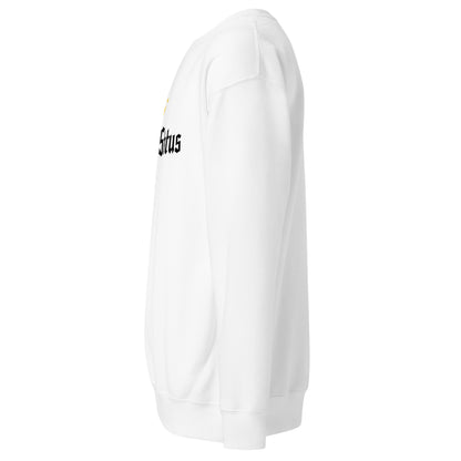 Boss Status Signature Sweatshirt