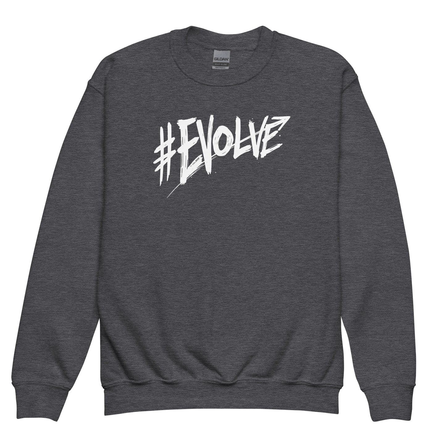 Evolve Kids sweatshirt