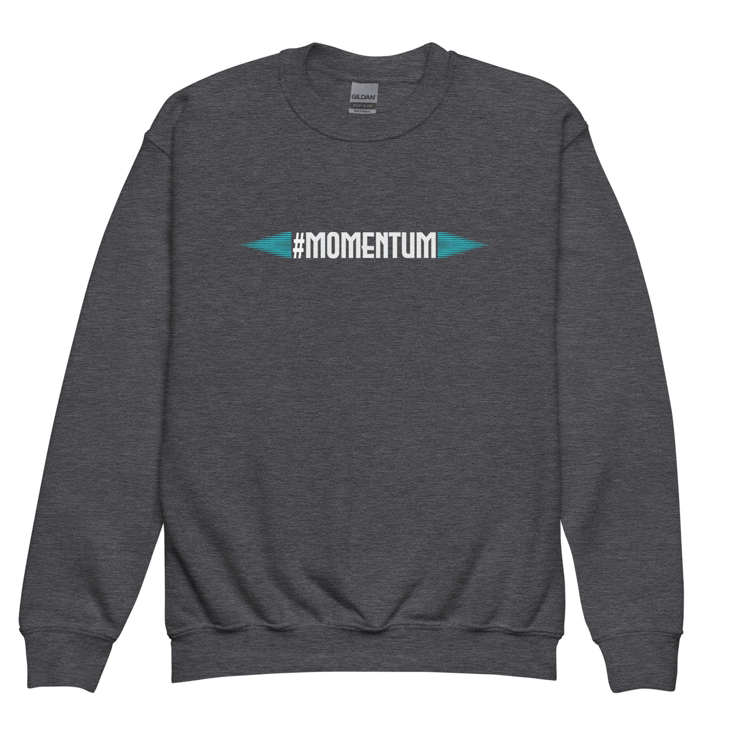 Momentum Kids sweatshirt