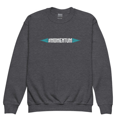 Momentum Kids sweatshirt